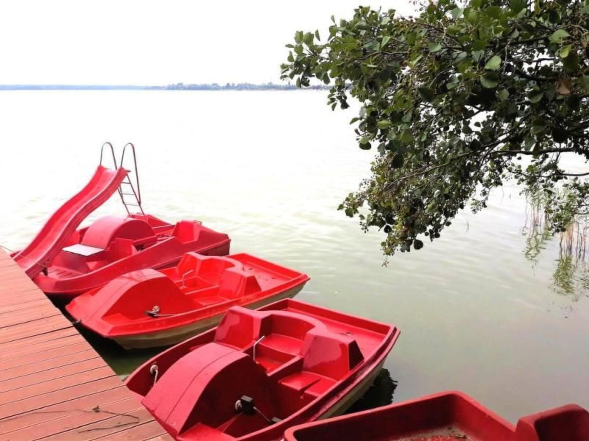 In Nowe Warpno direkt am Wasser-Image-tags.info