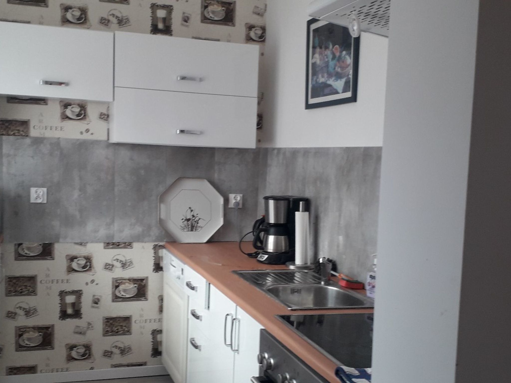 Seefalke-Image-tags.info