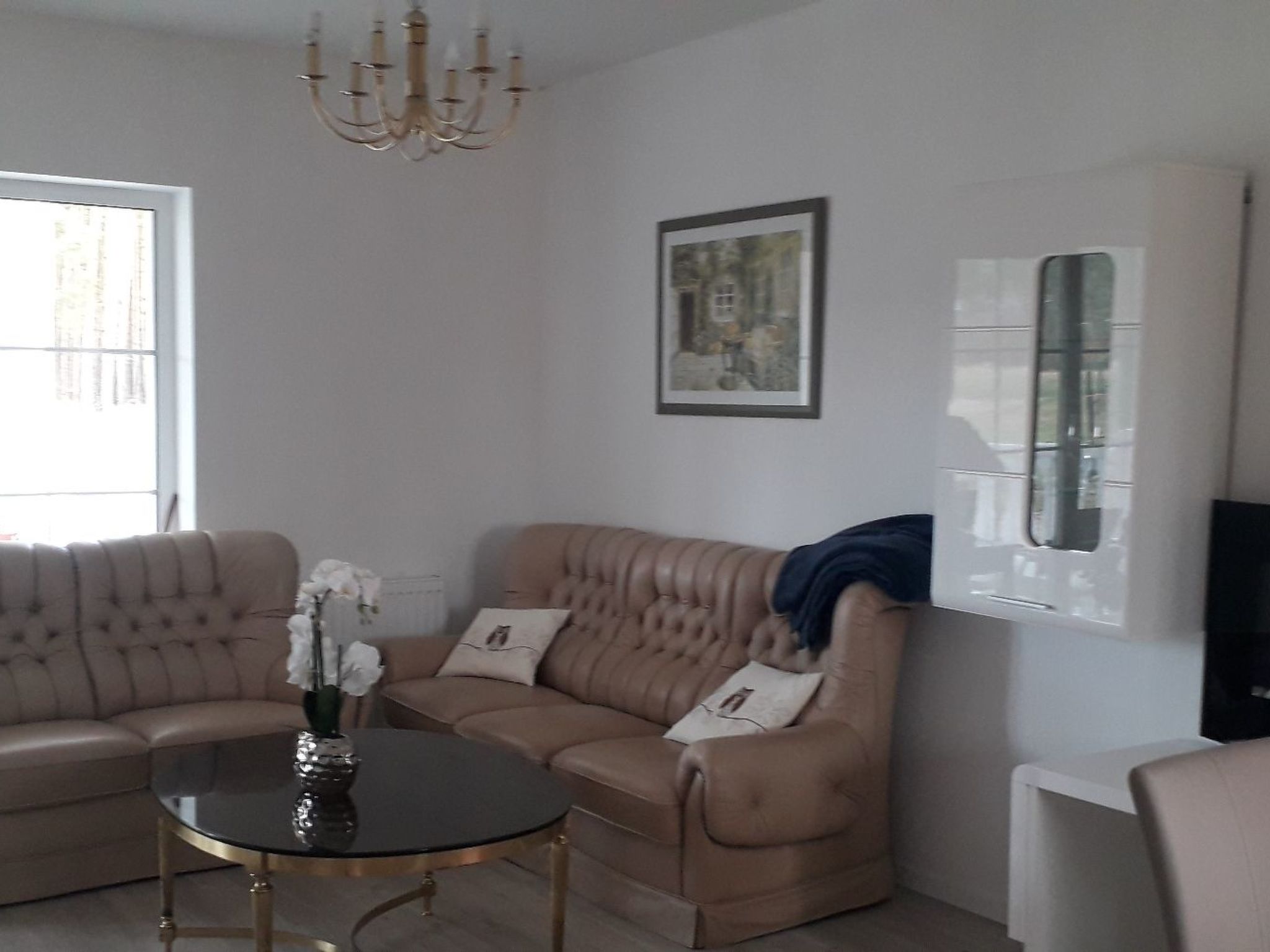 Seefalke-Image-tags.info