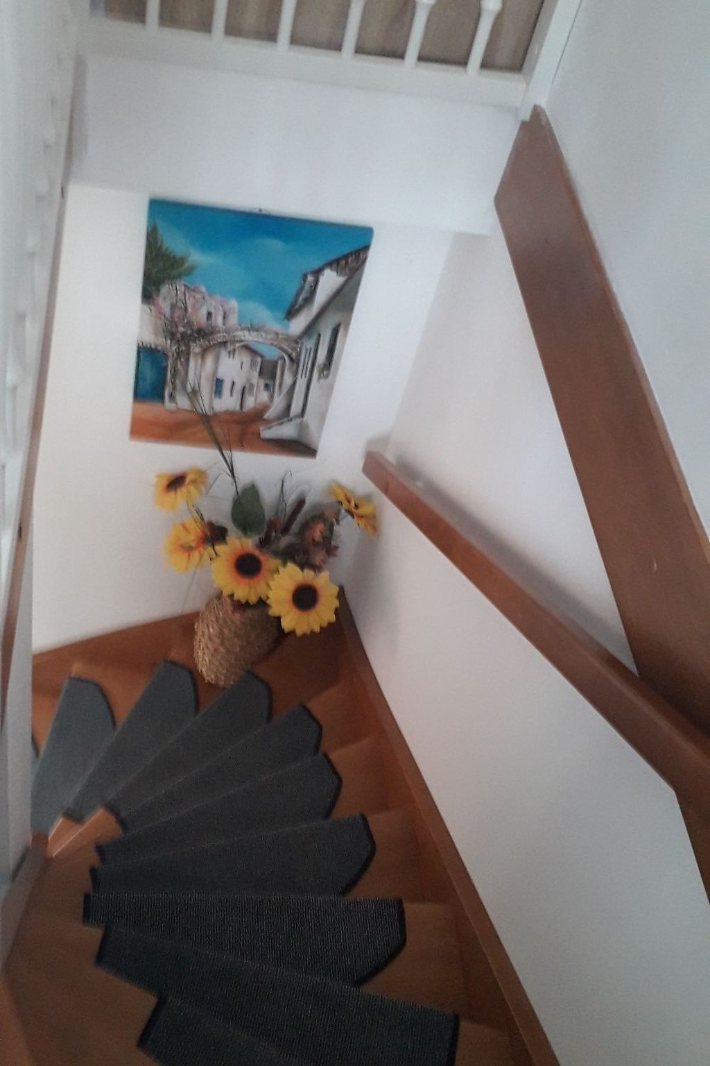 Seefalke-Image-tags.info