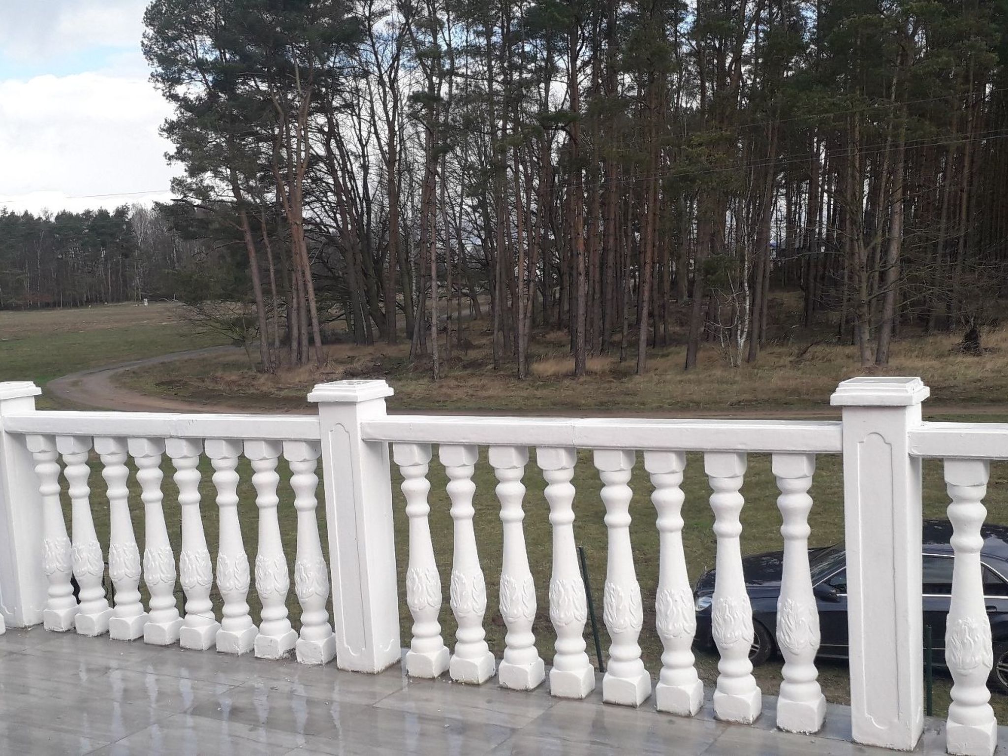 Seefalke-Image-tags.info