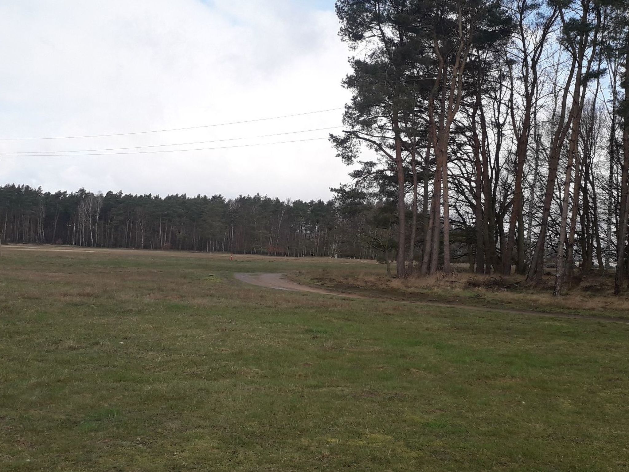 Seefalke-Image-tags.info