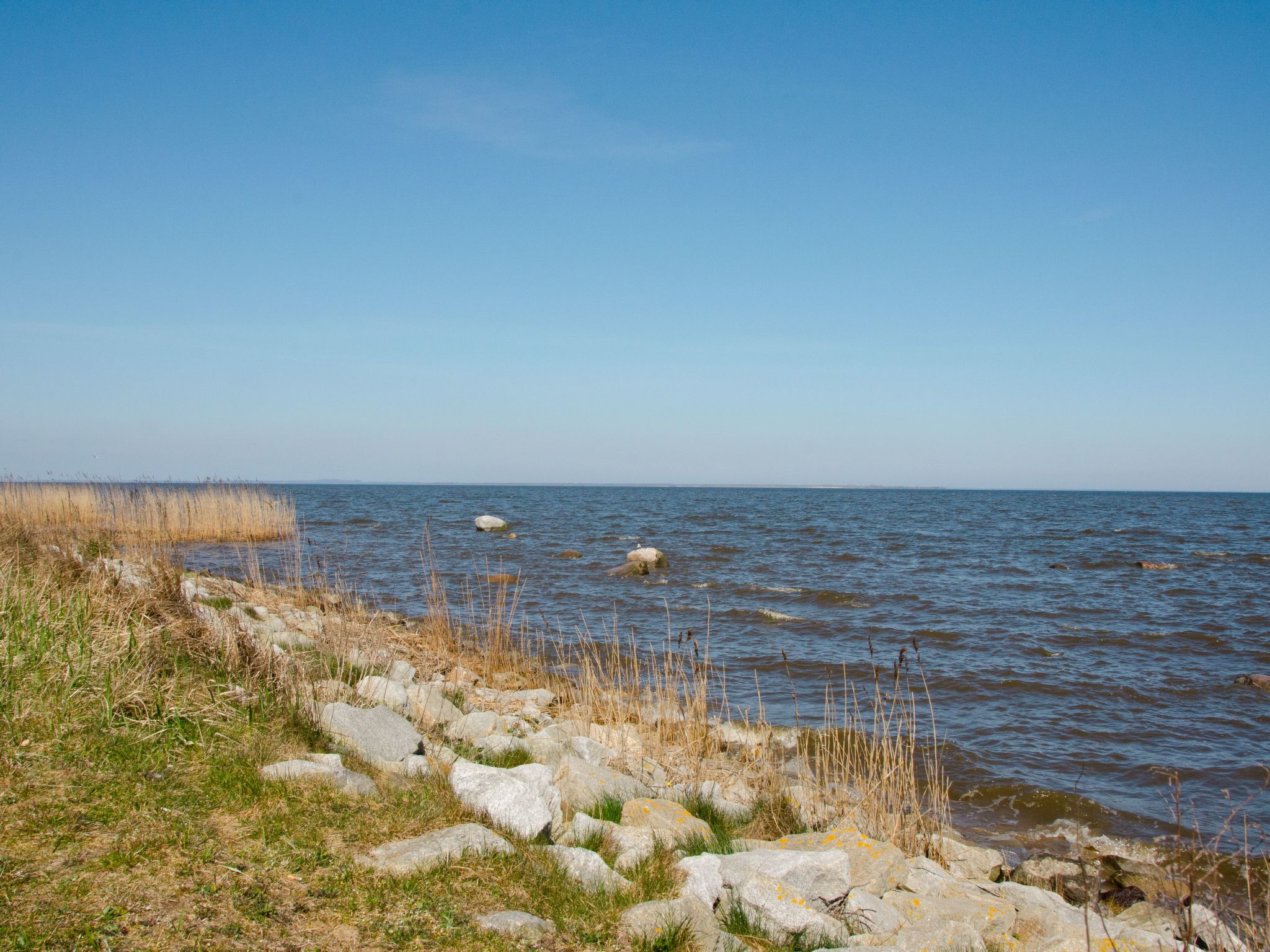 Kormoran-Image-tags.info