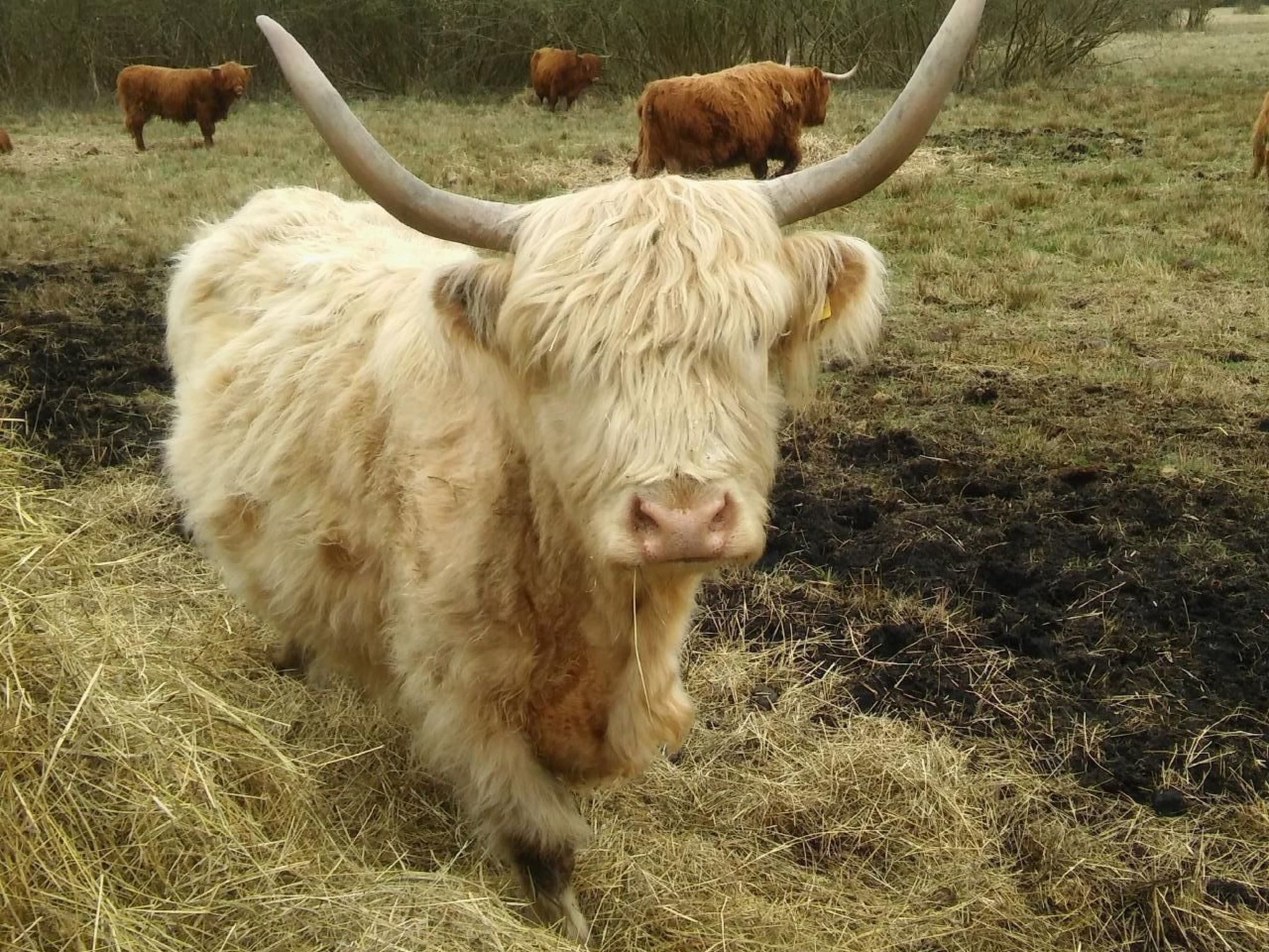 Juwel an der Lagune-Binnen
