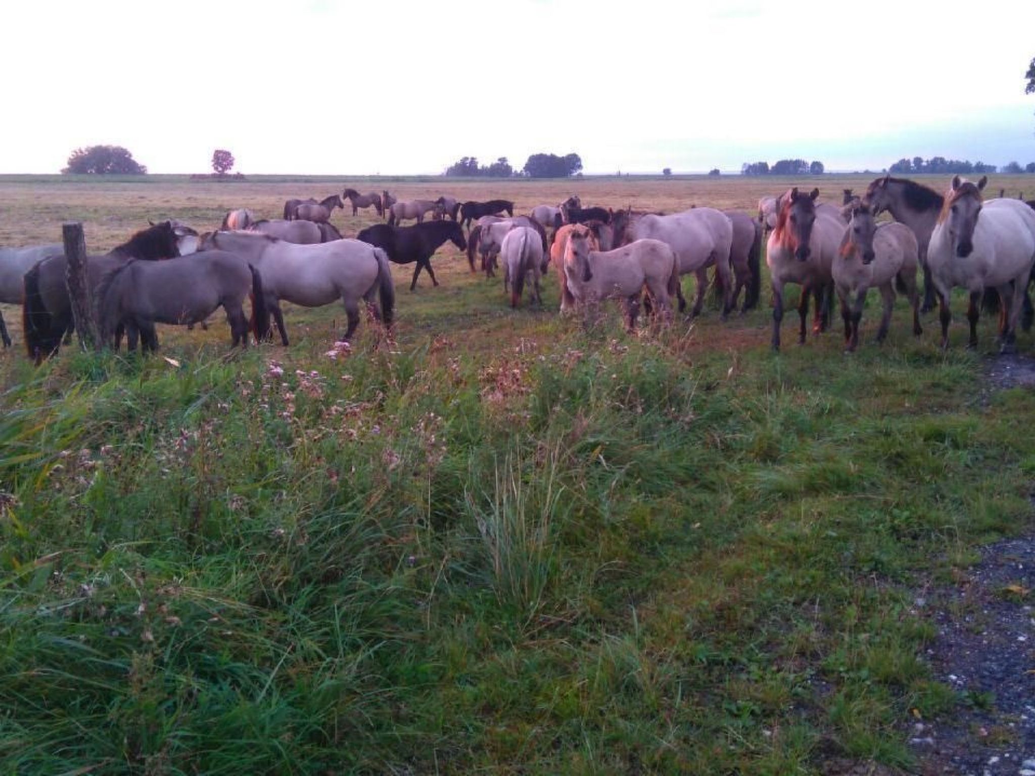Juwel an der Lagune-Binnen