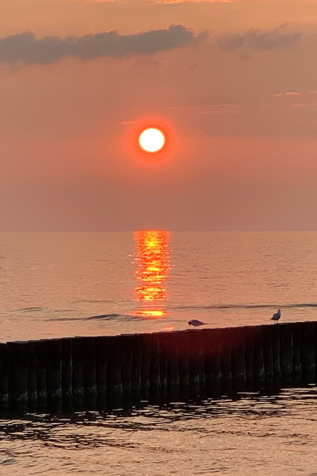 Mit Meerblick-Binnen