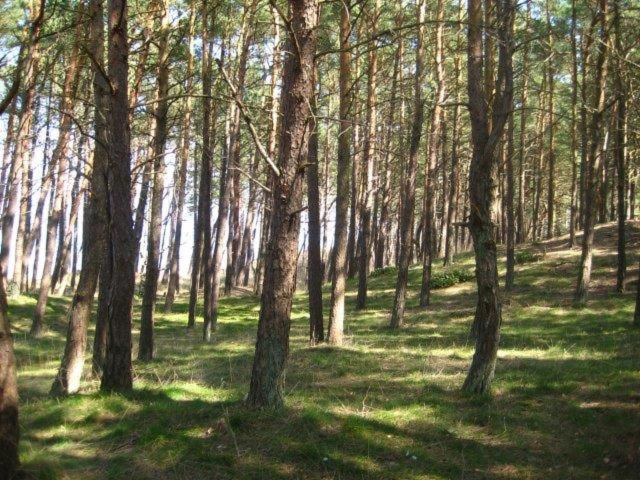 Mit Meerblick-Binnen