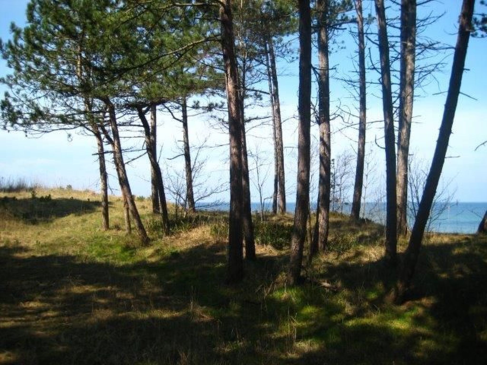 Ganzjährig bewohnbares Ferienhaus direkt am Strand von Dźwirzyno-Binnen