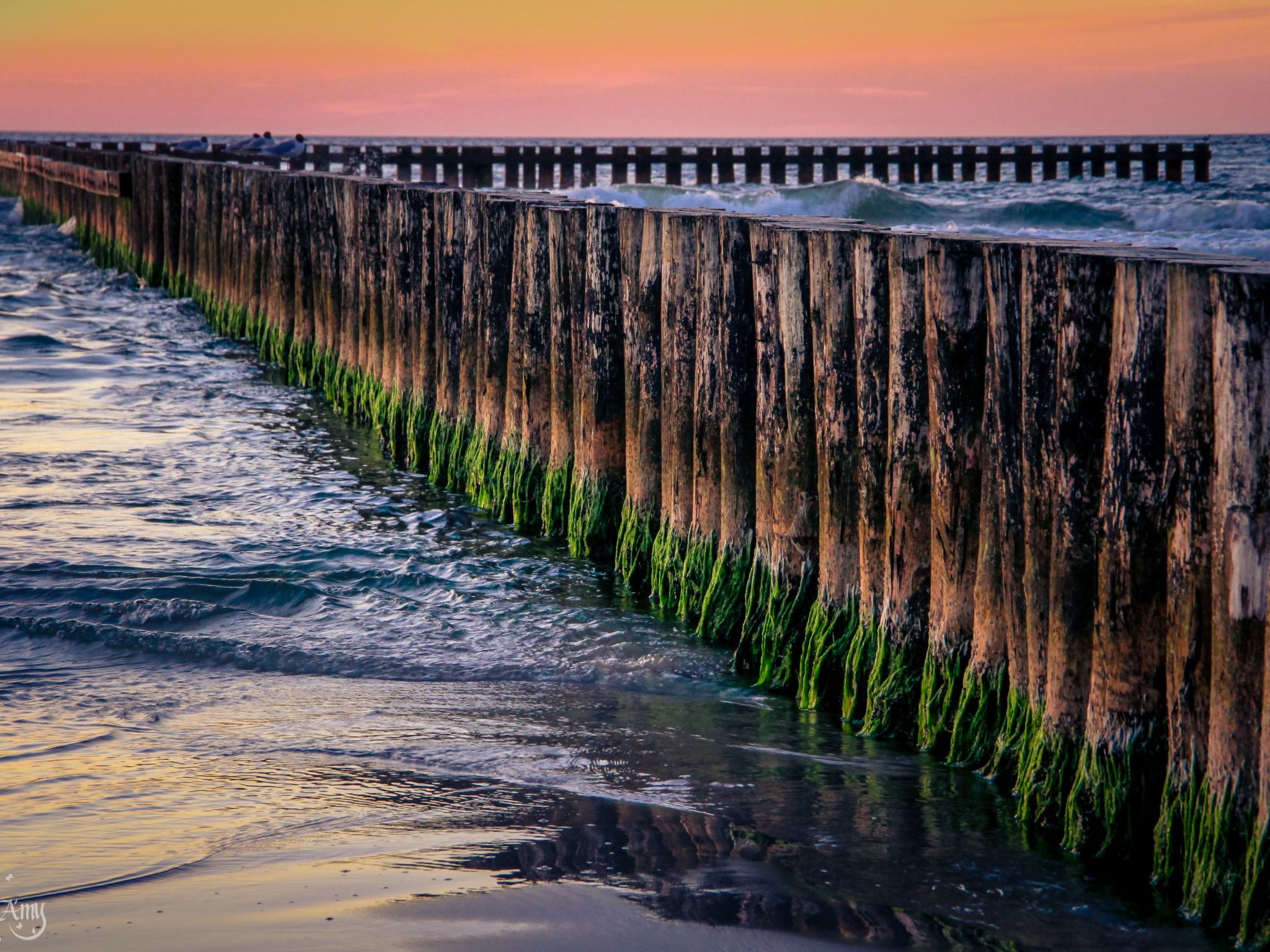 In Dźwirzyno-Binnen