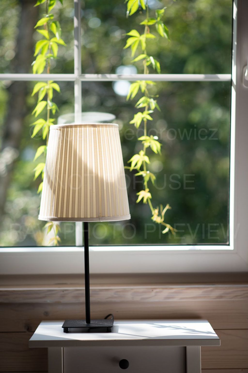 Marine Cottages mit Hund-Binnen