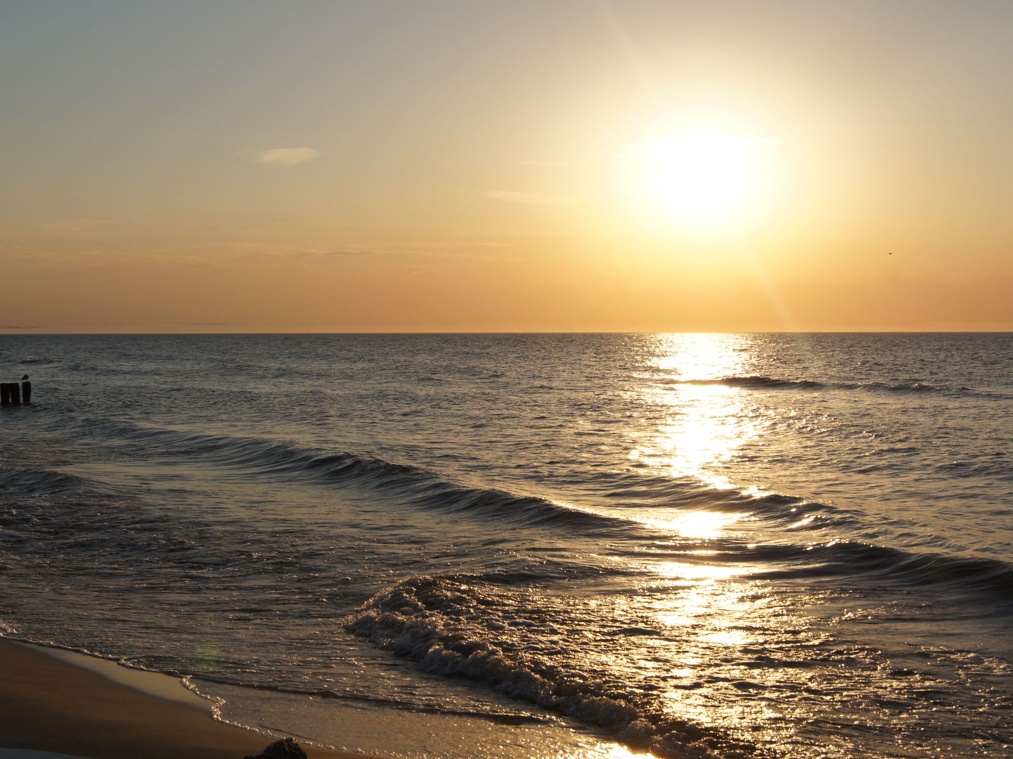 Beach Club-Häuser direkt am Strand-Image-tags.info