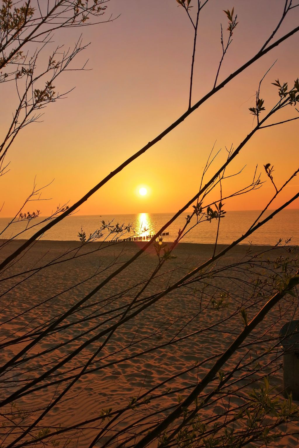 Beach Club-Häuser direkt am Strand-Image-tags.info