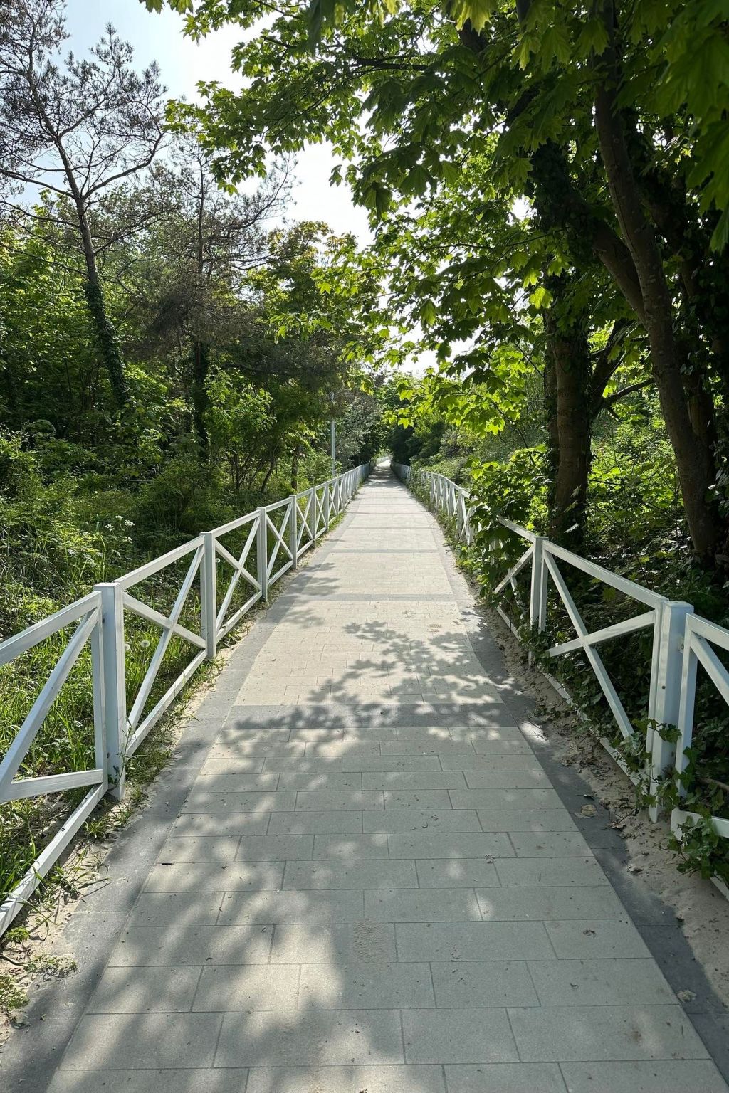 Welle in Dziwnow-Dedans