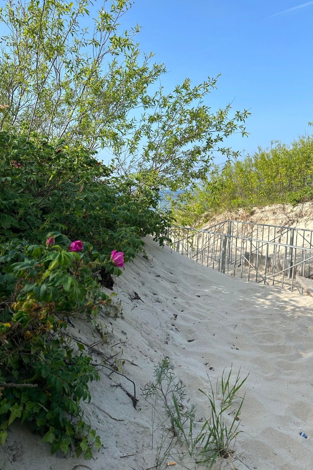 Welle in Dziwnow-Dedans