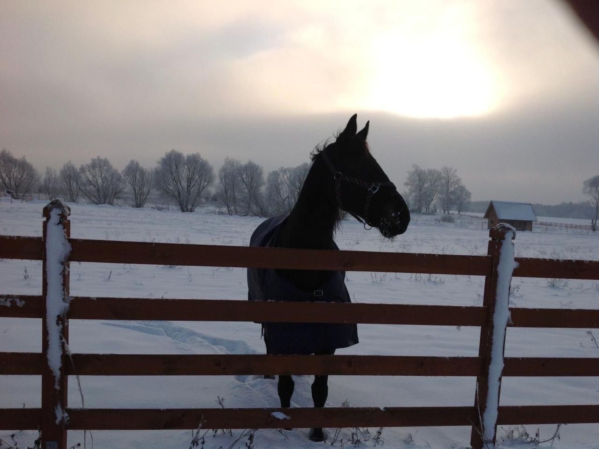 In Rozwarowo mit Schöner Terrasse - Buiten