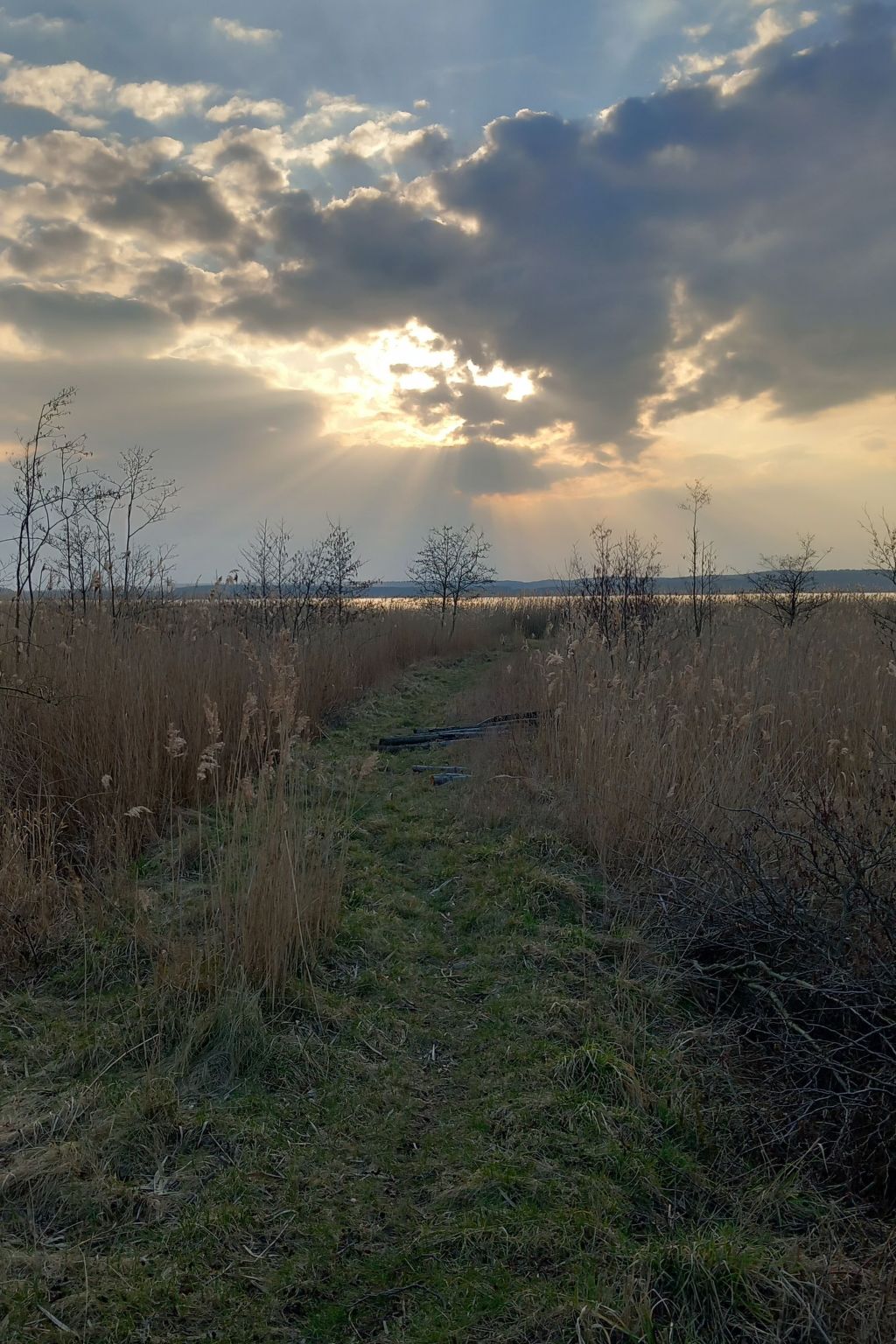 Ferienvilla "Villa Koprowo" mit Jacuzzi und Sauna-Outside