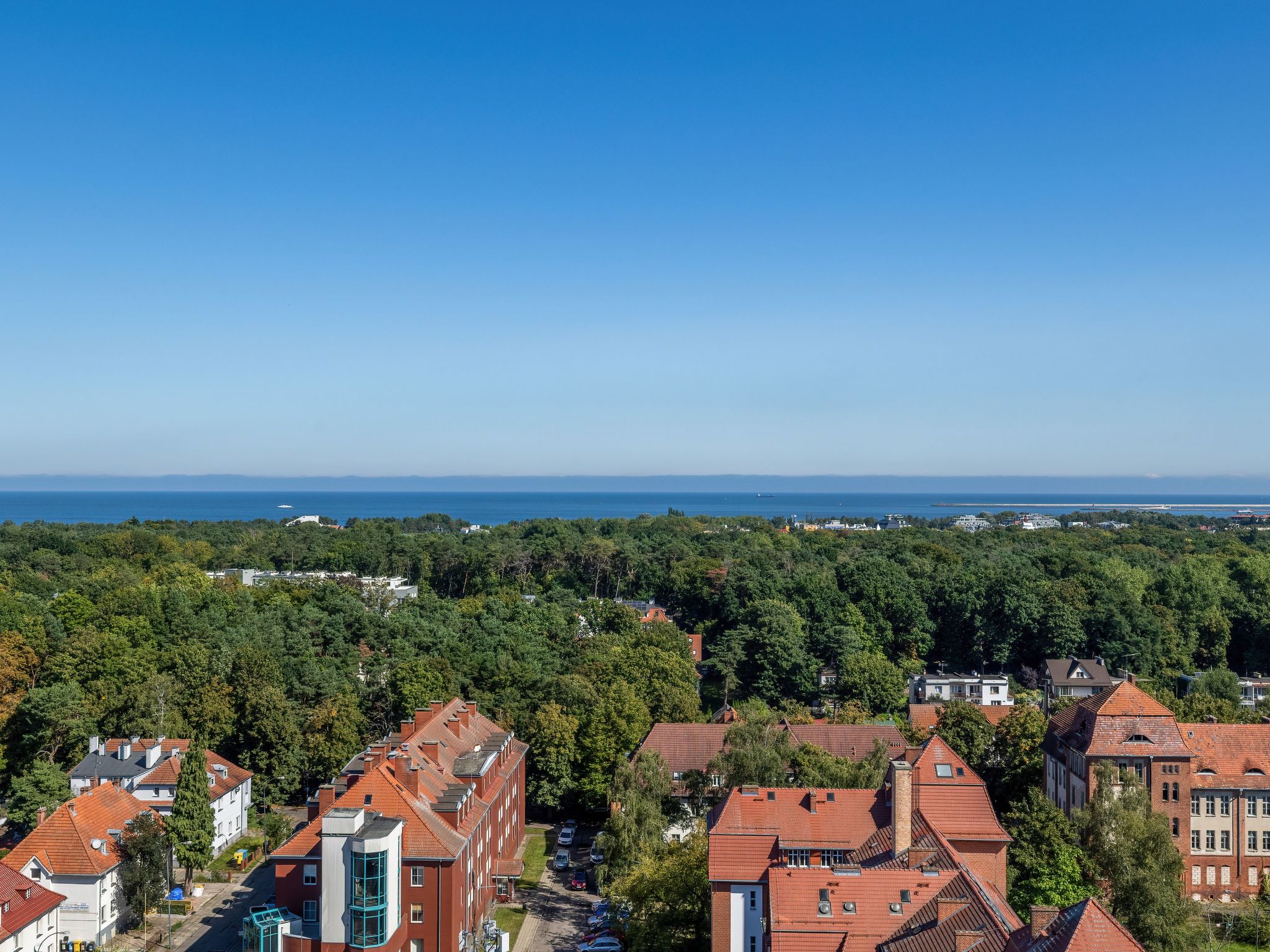 "Platan Tower 113"-Image-tags.info