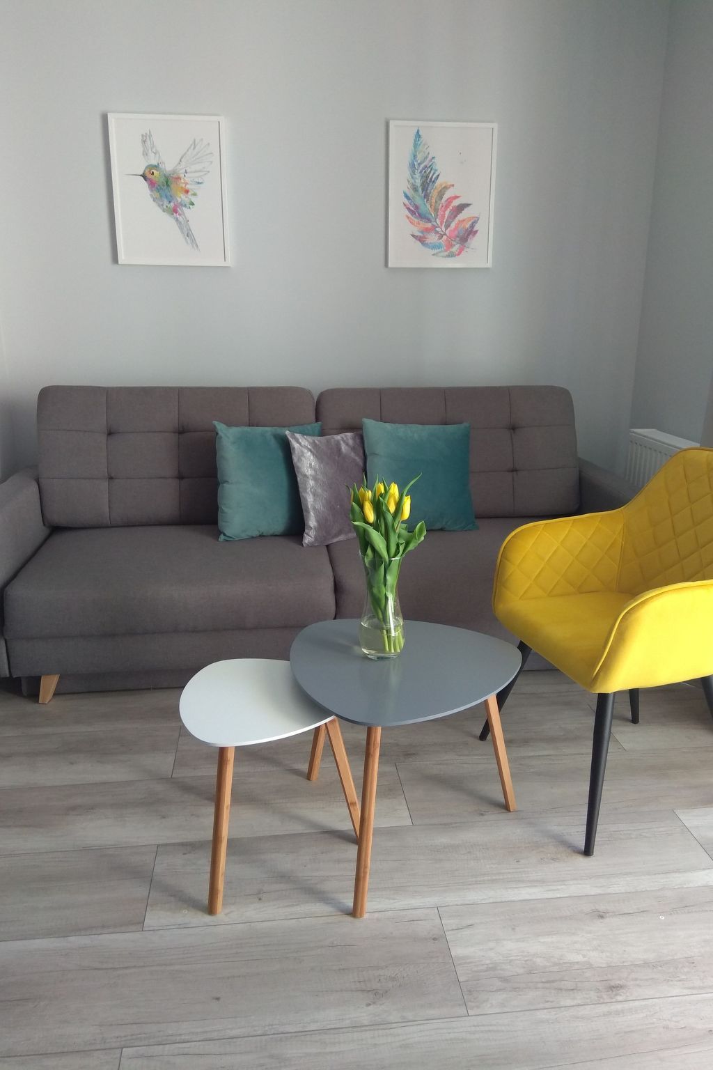 Apartament Cesarski Agnes-Image-tags.info