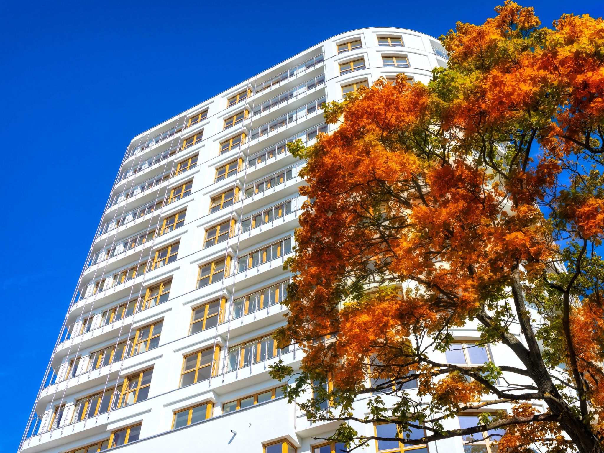 Appartement Tower 65 in einem ruhigen Stadtviertel — House (3 of 15)