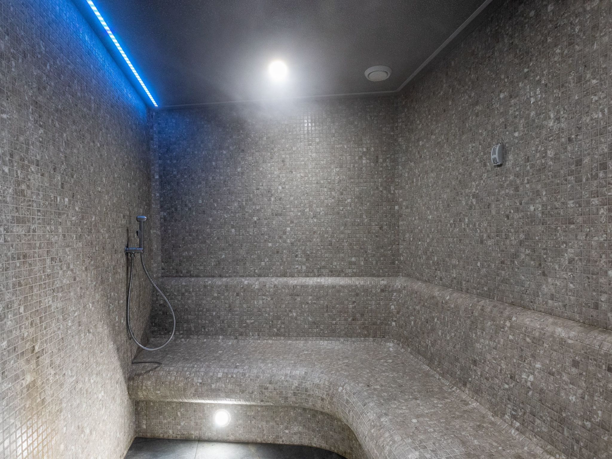 Lividus in Usedom am Meer-Image-tags.info