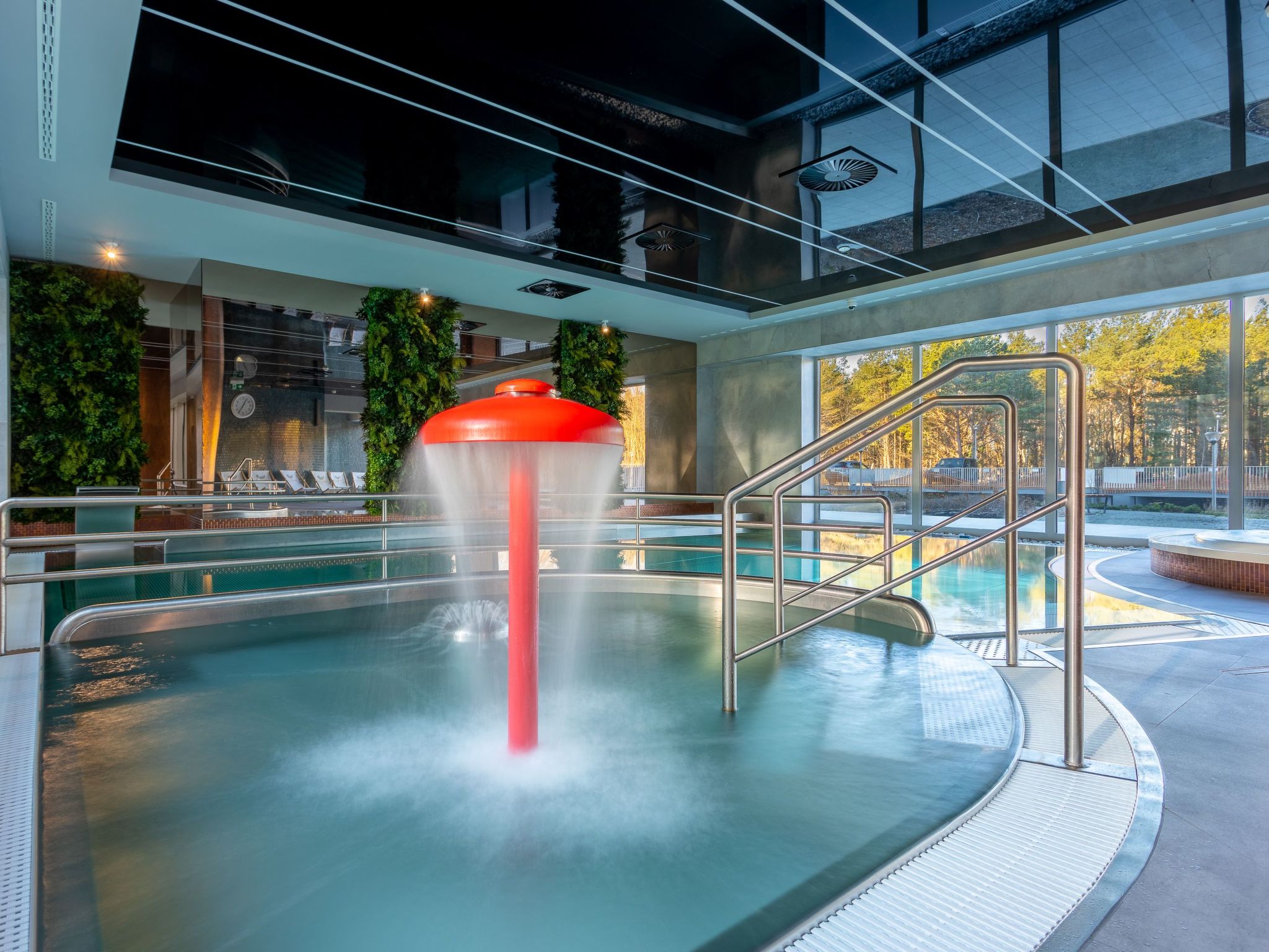 Lividus in Usedom am Meer-Image-tags.info