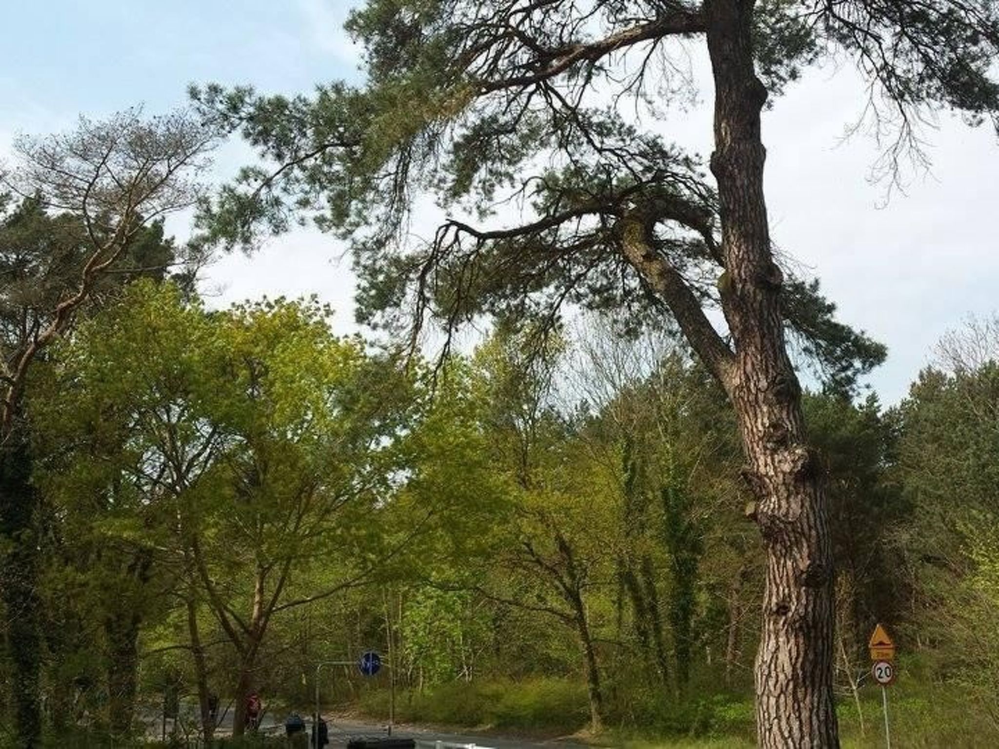 FeWo erste Reihe-Image-tags.info