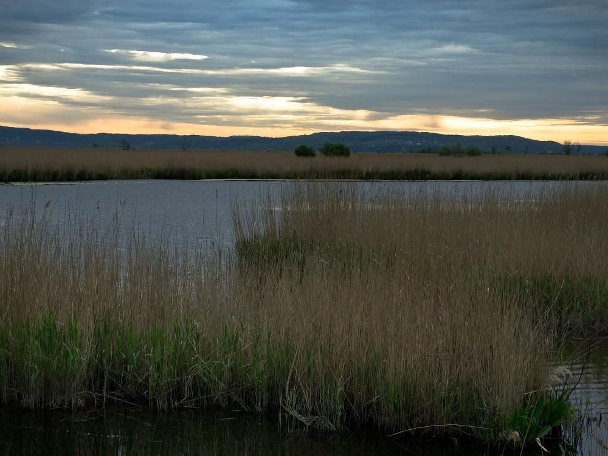 "Eagle Cottage II" unbeschwerter Urlaub-Draußen