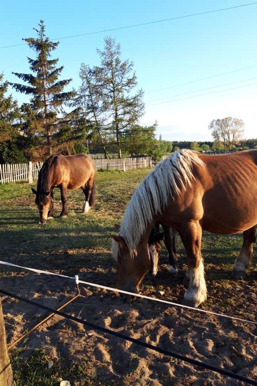 "Eagle Cottage II" unbeschwerter Urlaub-Image-tags.info