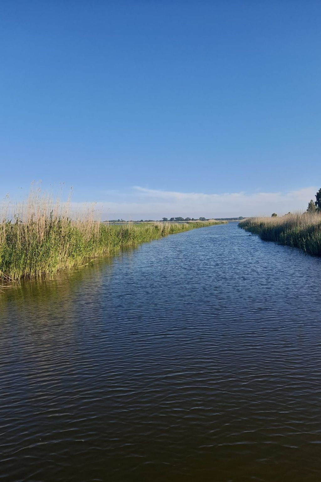 "Eagle Cottage II" unbeschwerter Urlaub-Draußen