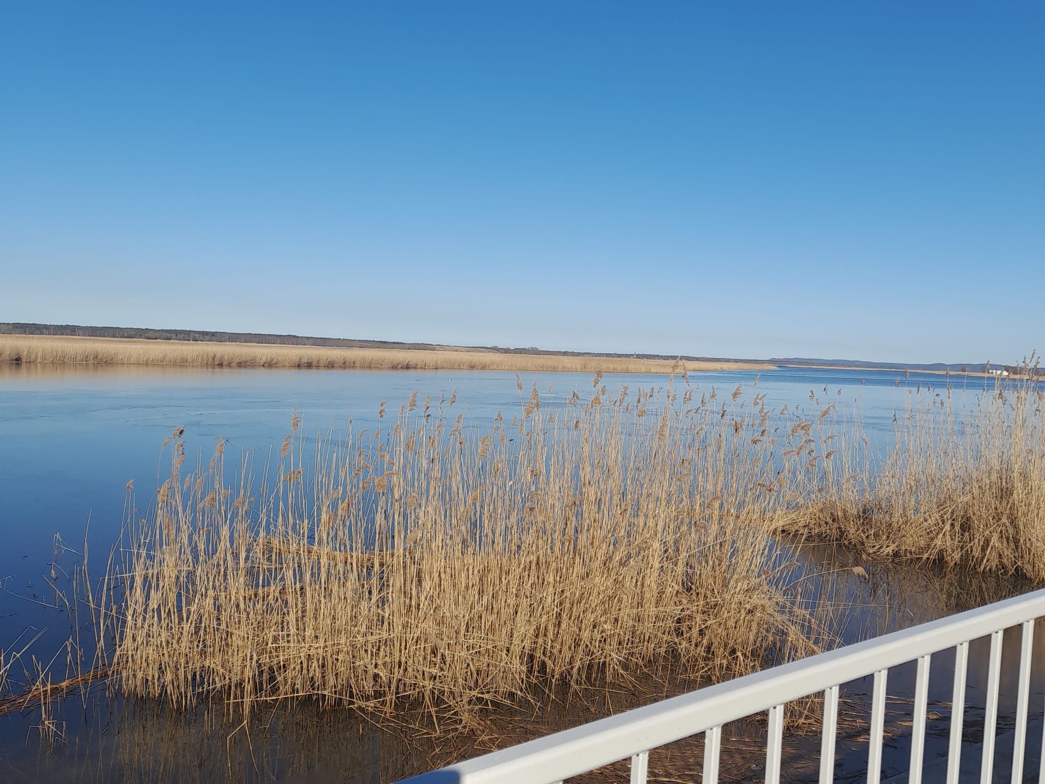 Auf einer Insel-Draußen