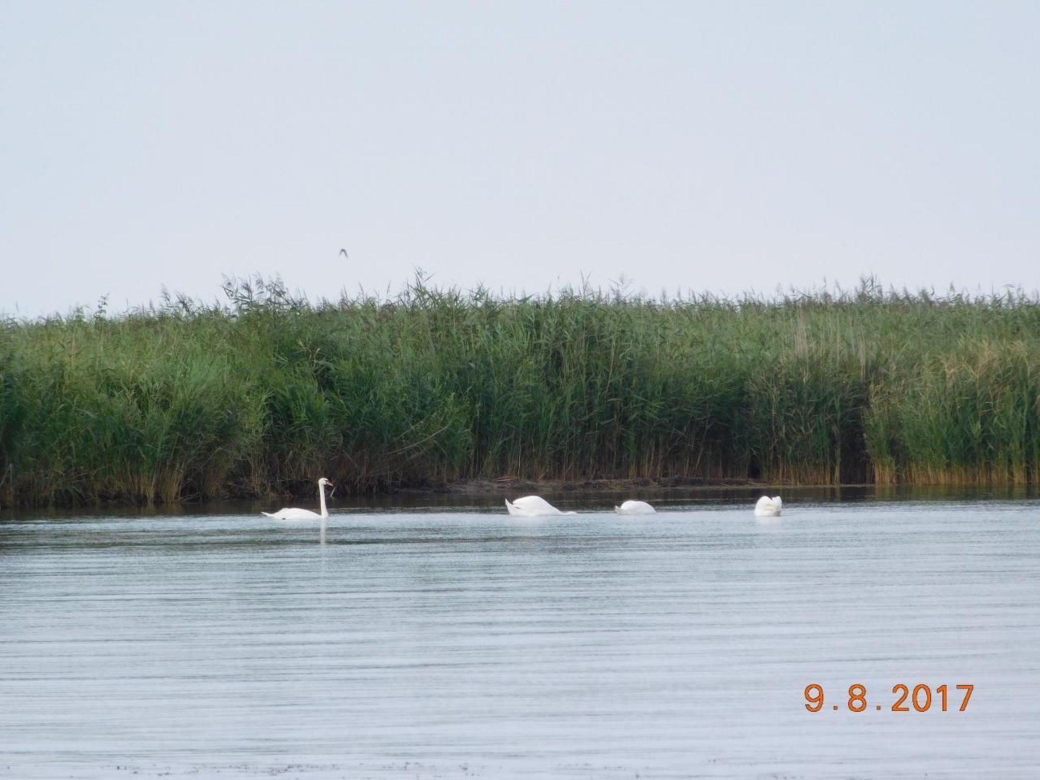 Haus in Karsibór mit Grill, Terrasse und Garten-Image-tags.info