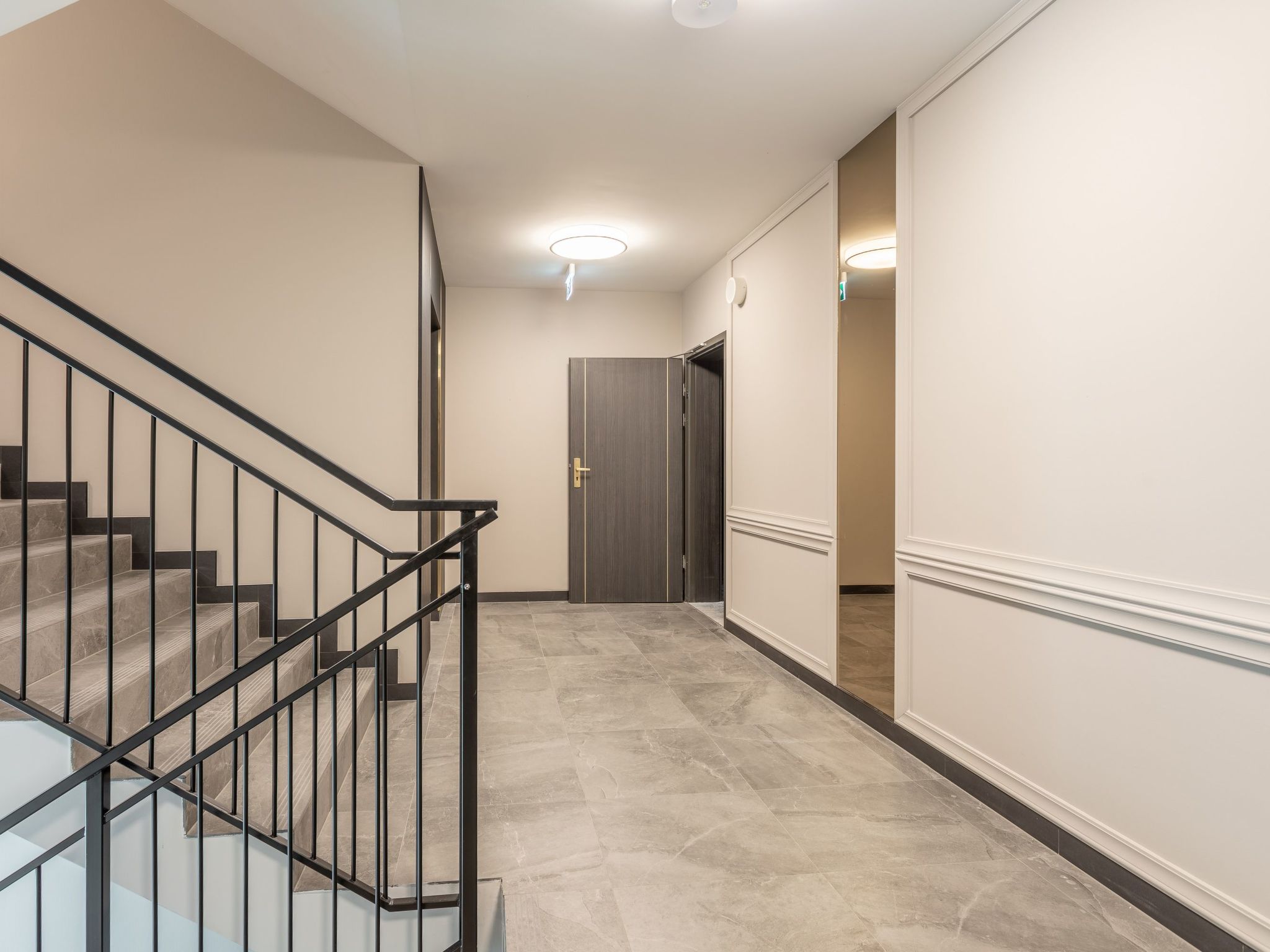 Lividus 137-Image-tags.info