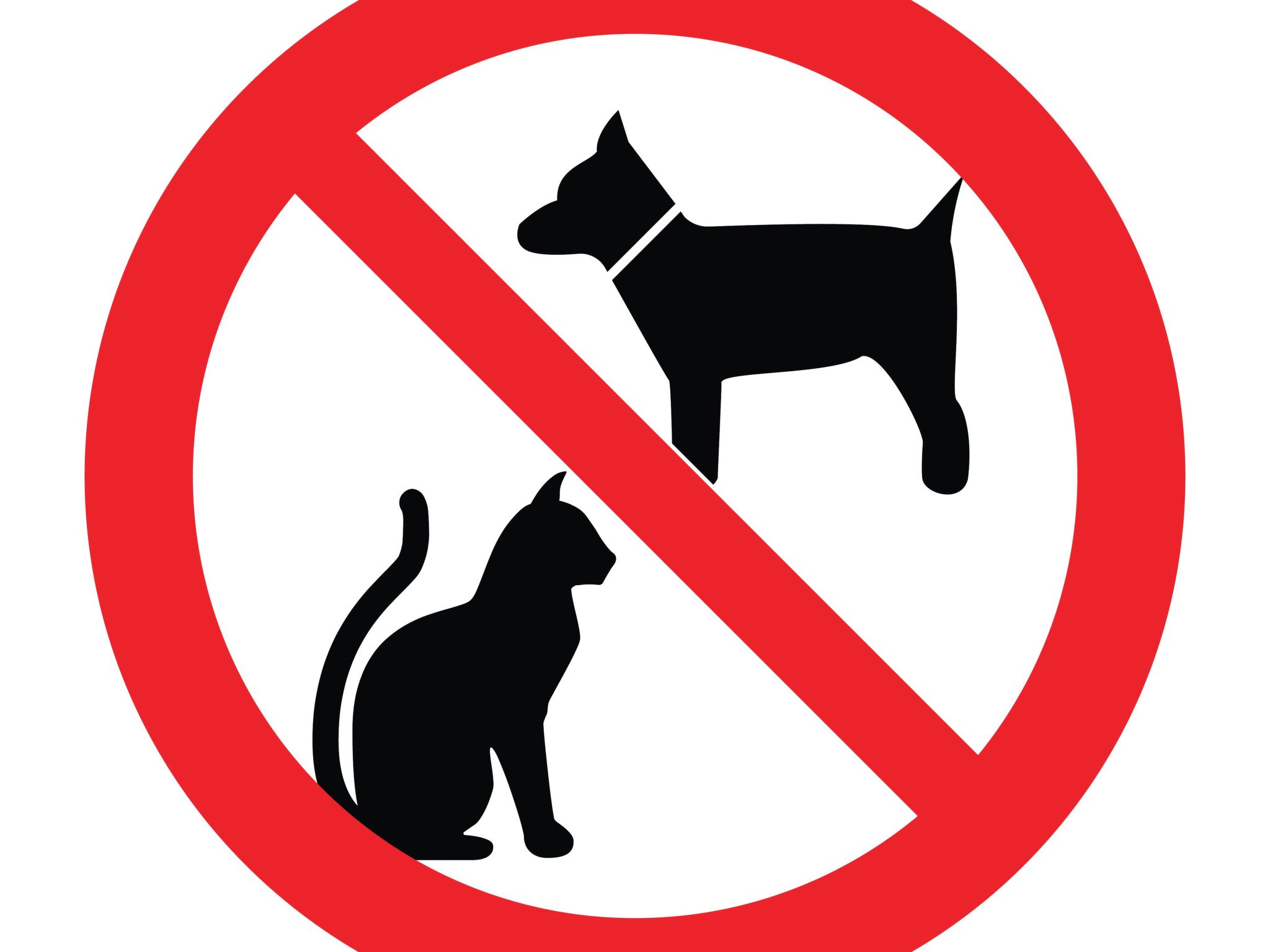 Am Meer, Urlaub auf der Insel Usedom, Apartment White Space II-Image-tags.info