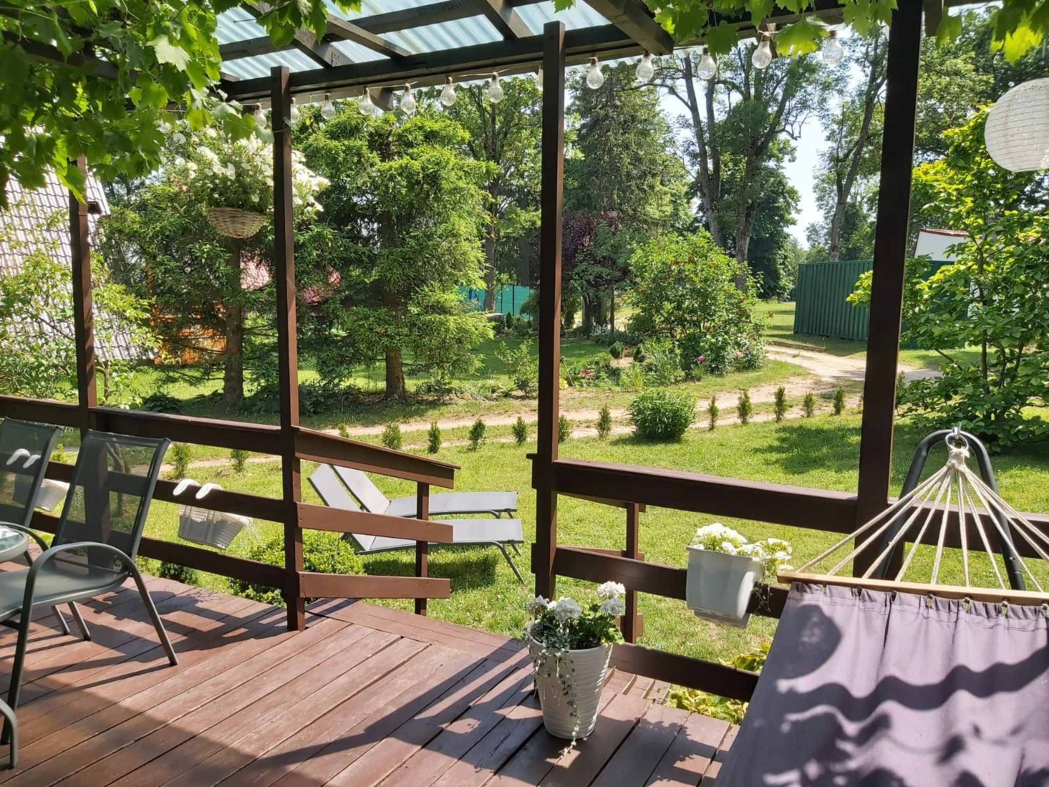 Dario-Image-tags.info