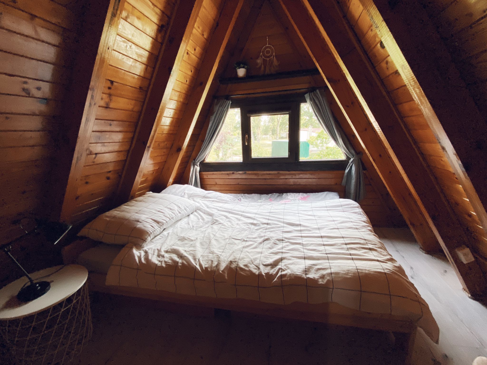 Dario-Image-tags.info