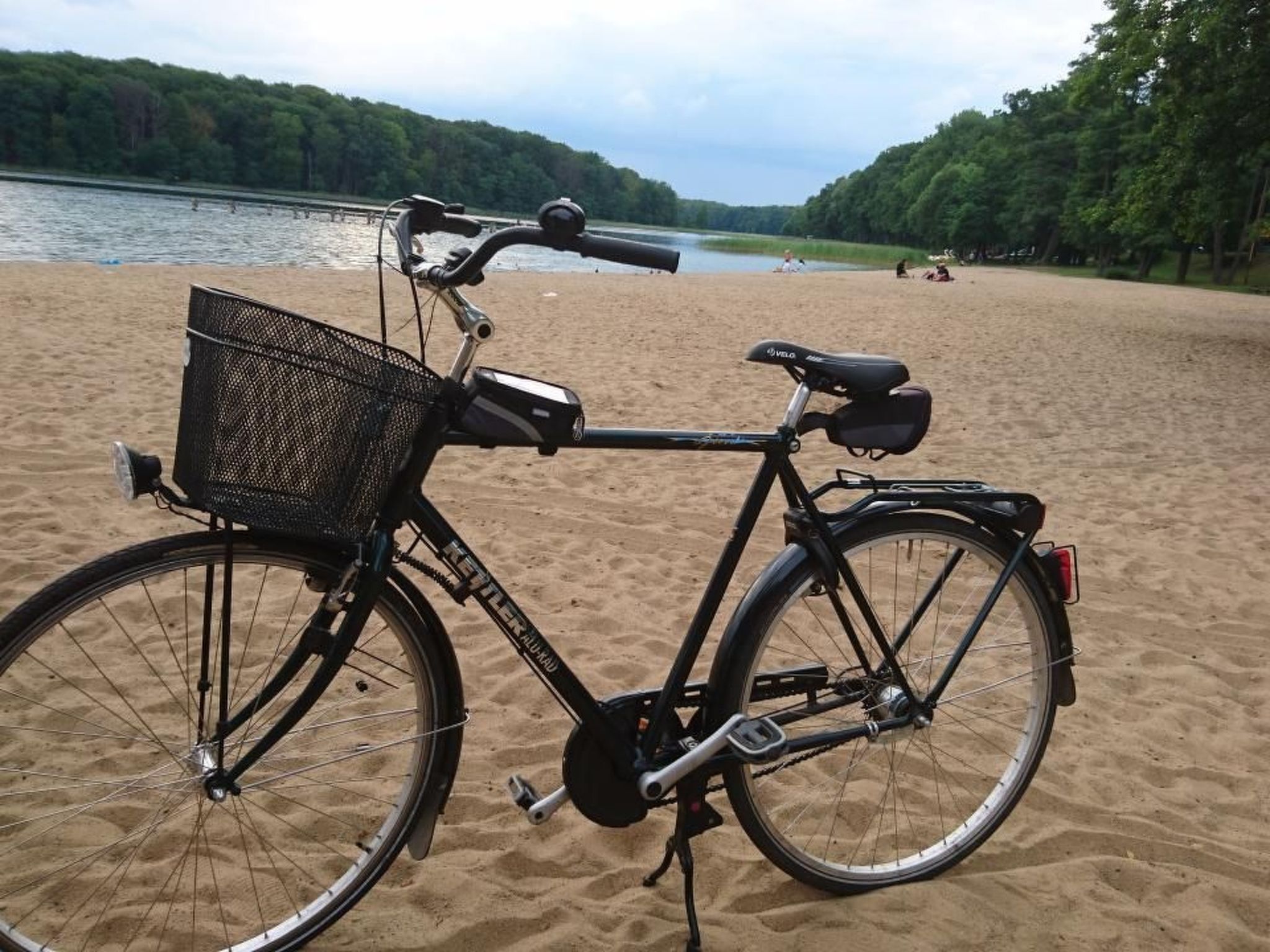 Dario-Image-tags.info