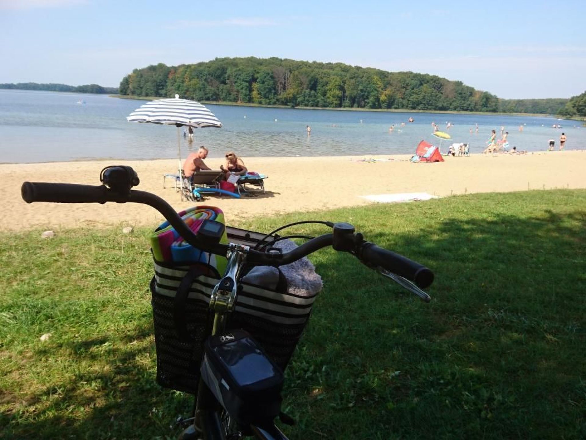 Dario-Image-tags.info