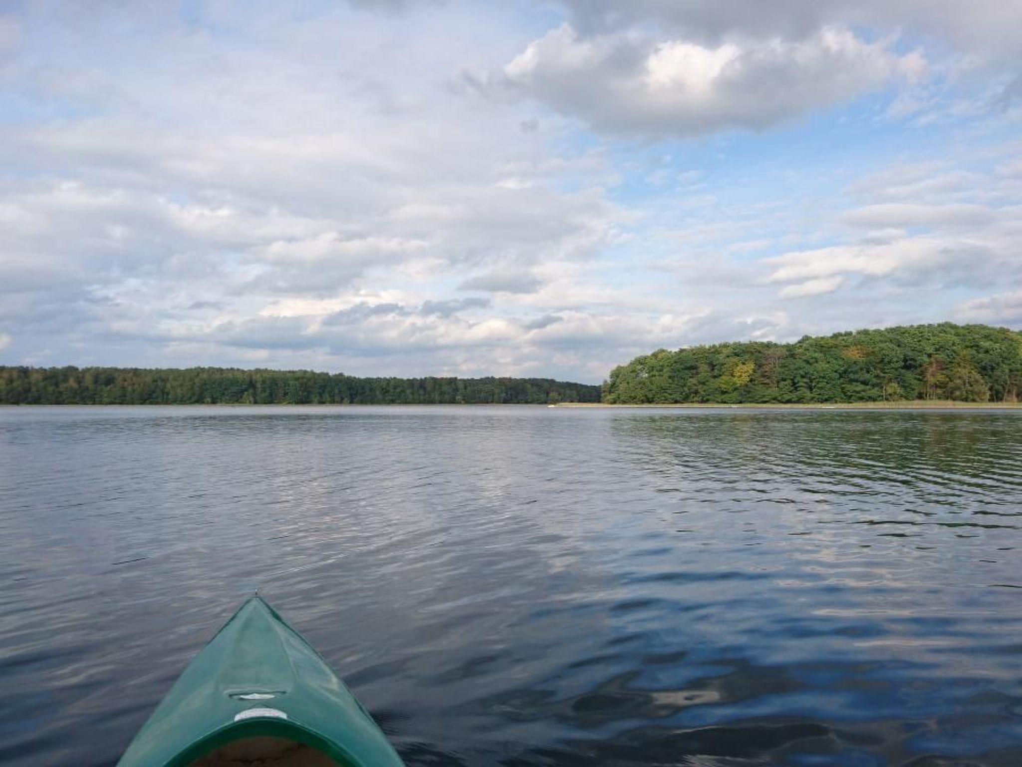 Dario-Image-tags.info