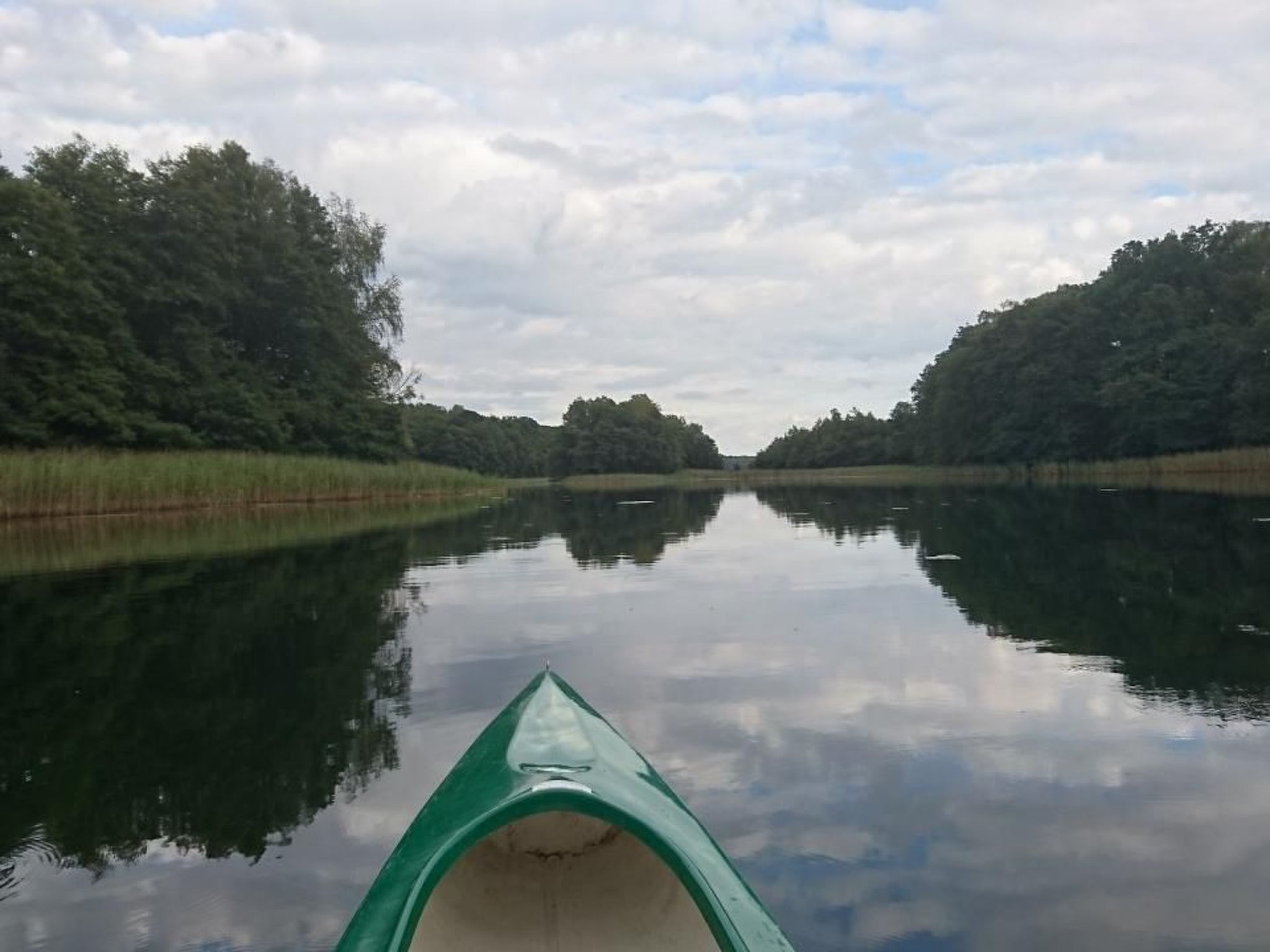 Dario-Image-tags.info