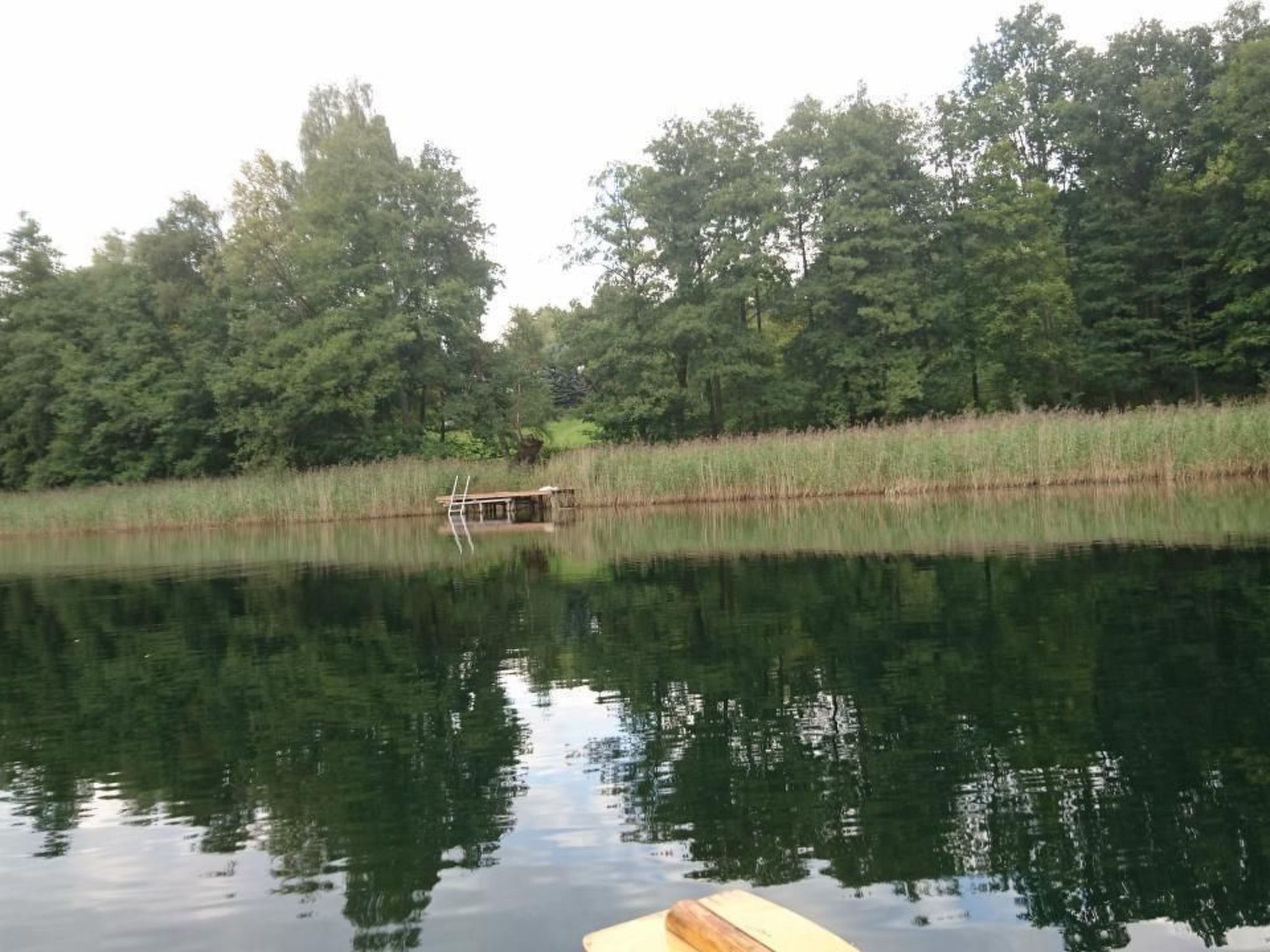 Dario-Image-tags.info