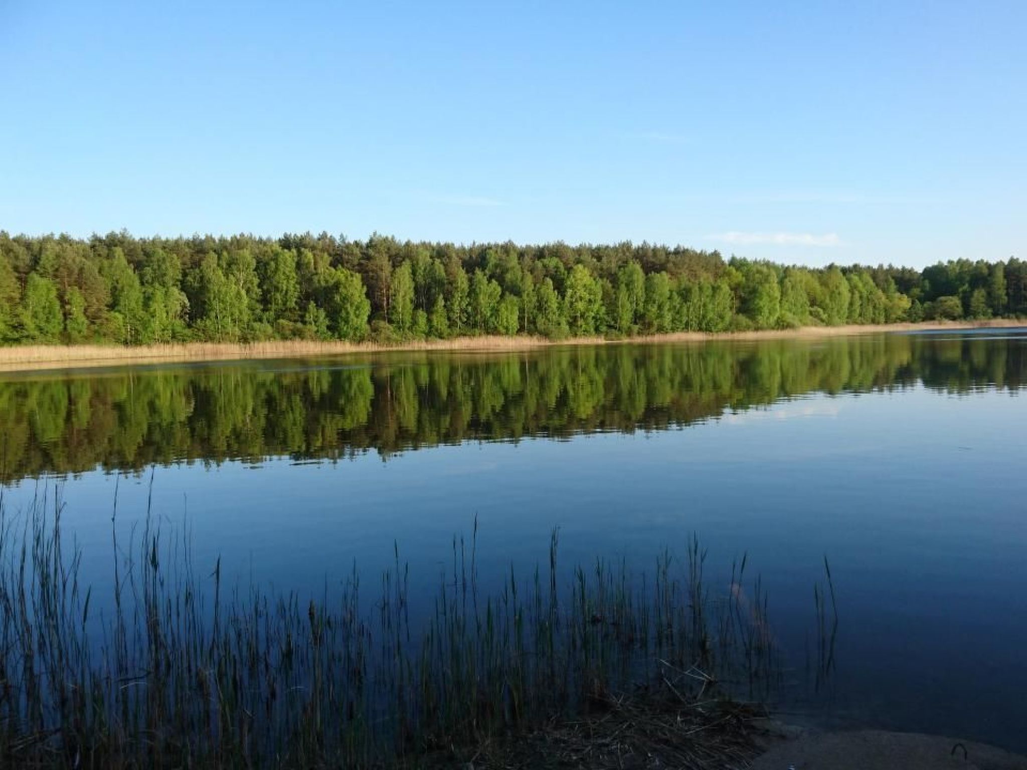 Dario-Image-tags.info