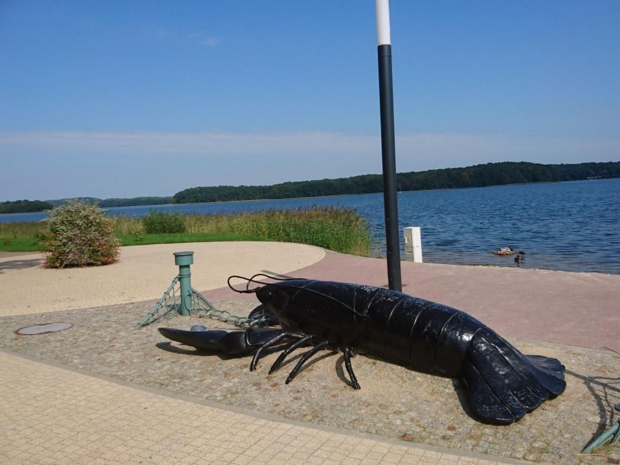 Dario-Image-tags.info