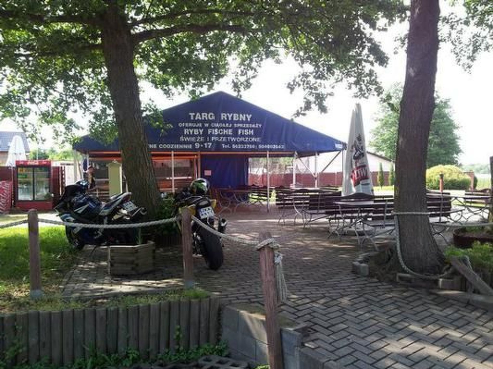 Dario-Image-tags.info