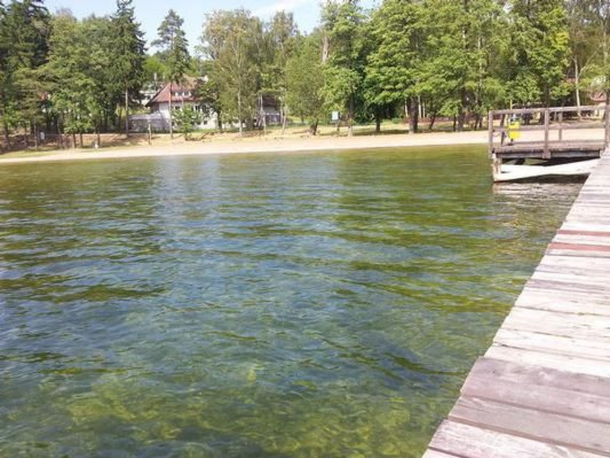 Dario-Image-tags.info