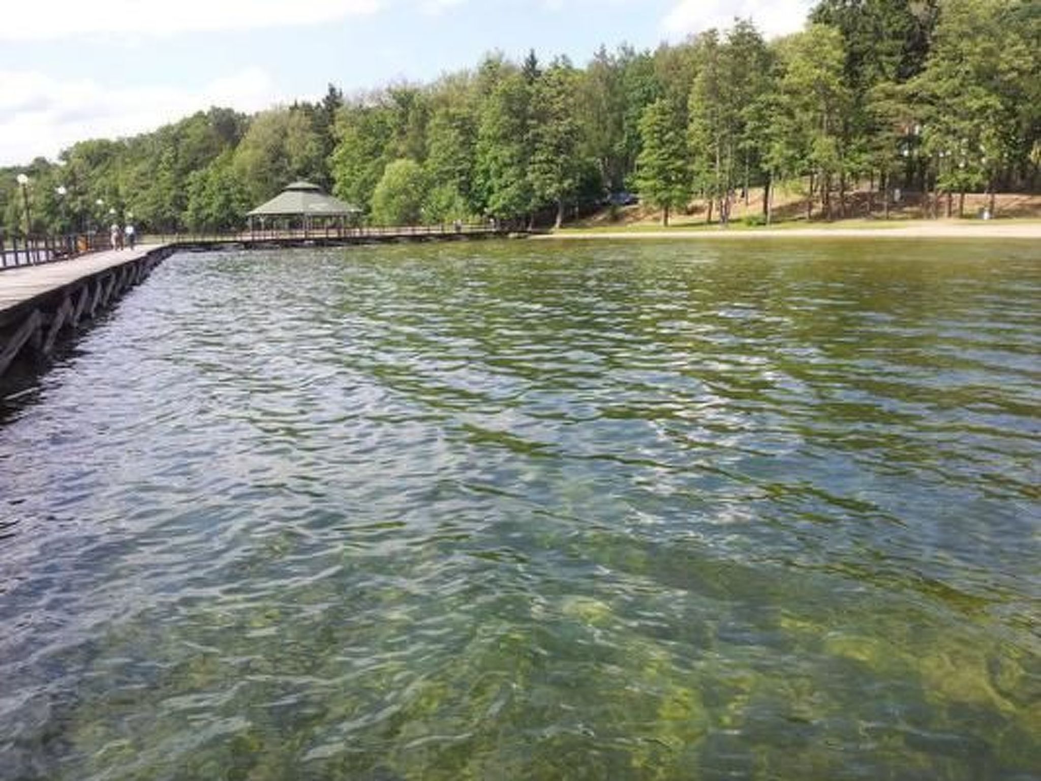 Dario-Image-tags.info