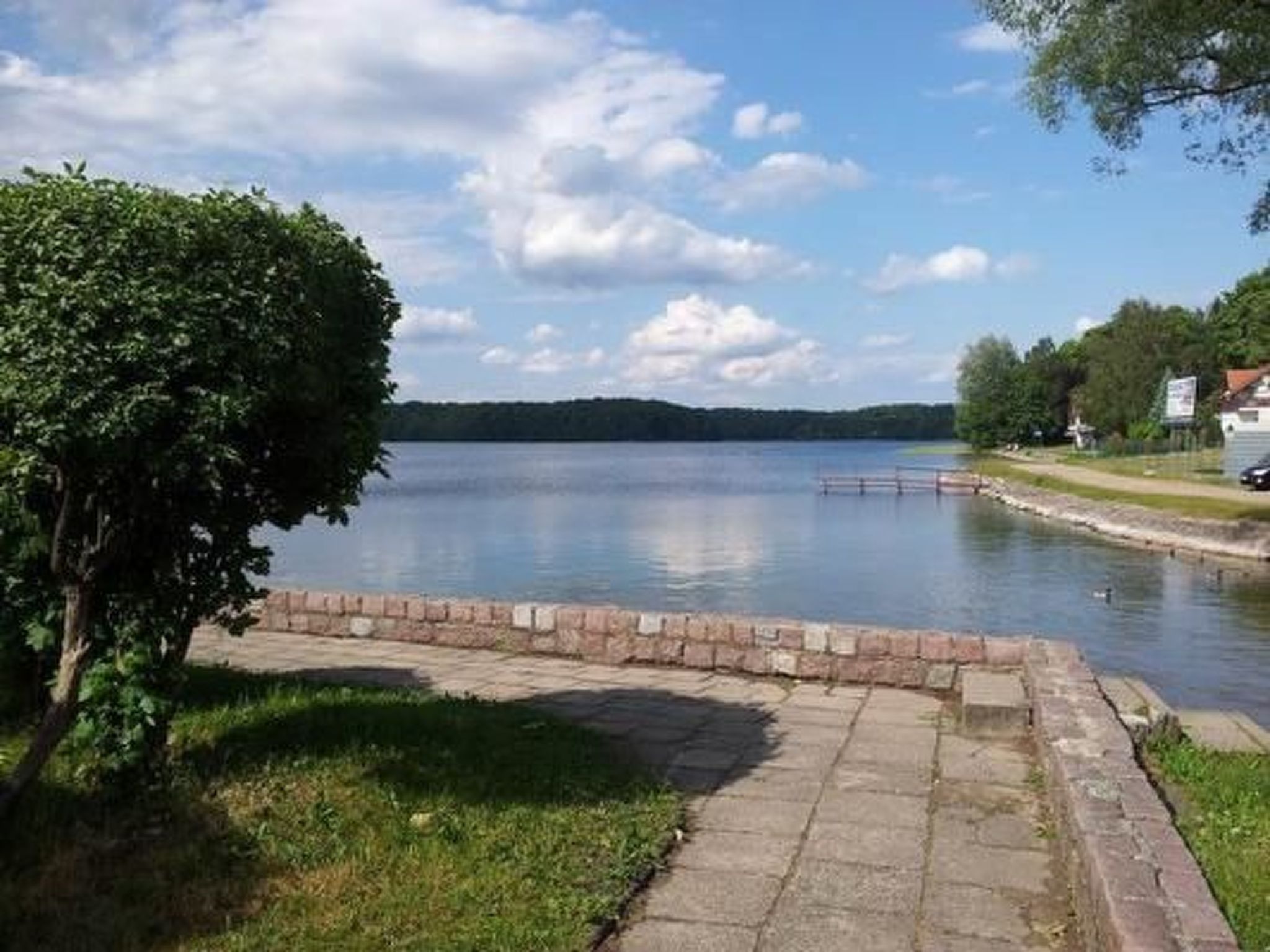 Dario-Image-tags.info