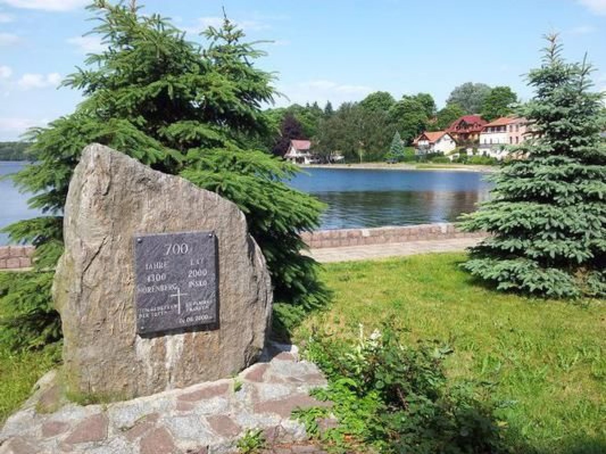 Dario-Image-tags.info