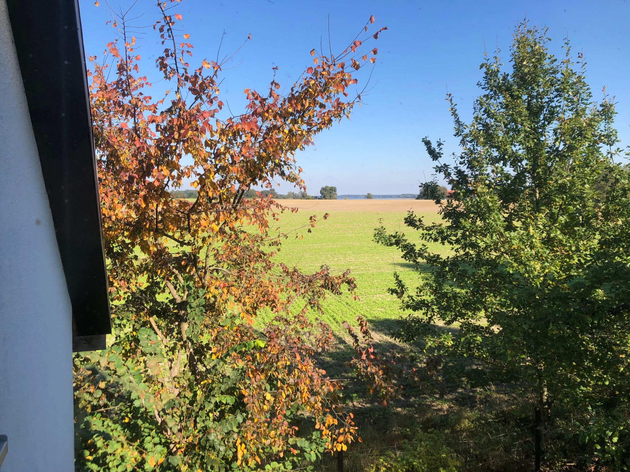 Auf einem Gutshof mit eigenem Garten in ländlicher Umgebung-Image-tags.info