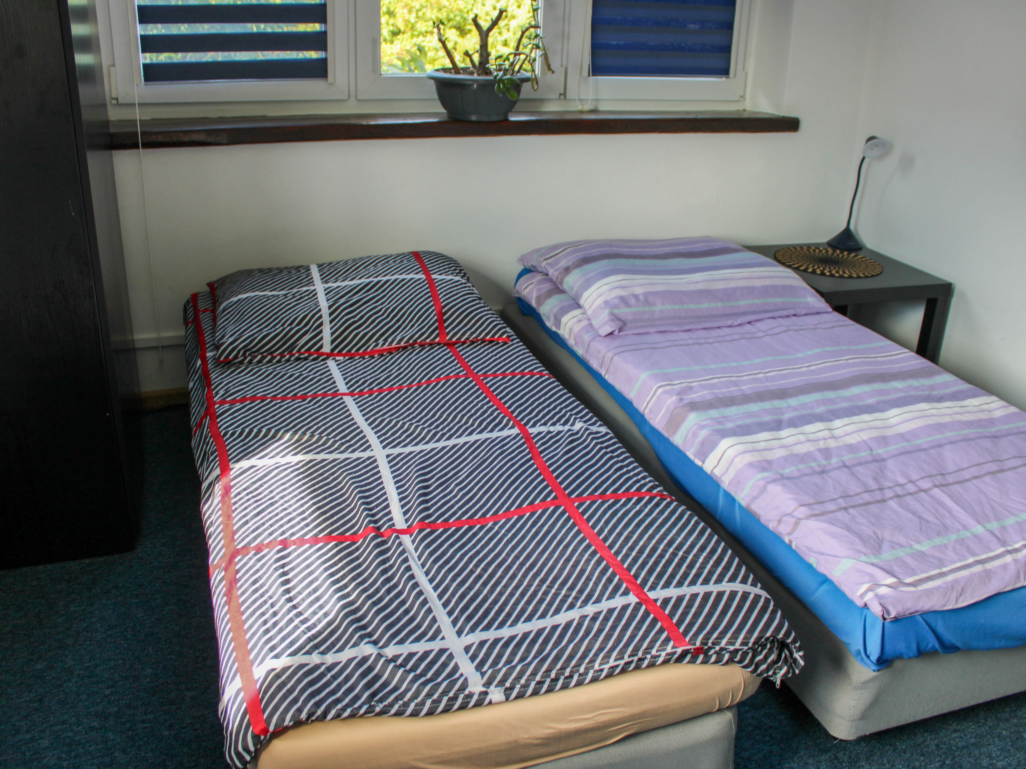 Ferienhaus in Koszalin (Polen) und 1 Hund erlaubt