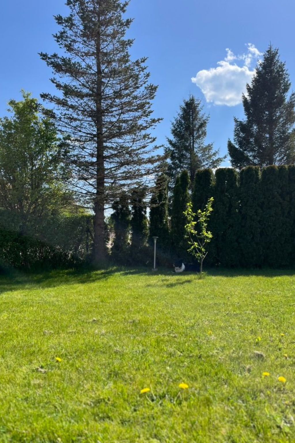 Komfortable Wohnung mit Garten, in der Nähe des Meeres-Binnen